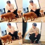 [<b>xoxo</b>] 나도 짤이나 올려야징