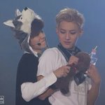 [<b>xoxo</b>] 내놩!! 그거내꺼양!!