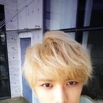 김재중은 금발도 어울려