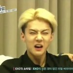 [비상대피소] 엑소 <b>수입</b>분배 정리 