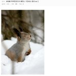 [베스트클릭] 디<b>시인</b>이 목욕탕에서 본 재밌는 광경