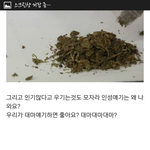 <b>전체</b>보세요)엑소무개념좀심하지않나이제ㅋㅋ?
