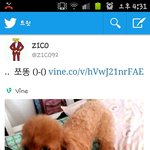 [블락비] 지코 쪼똥이 트위터업댓