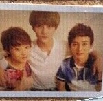 [<b>xoxo</b>] 이 사진 뭔가