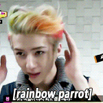 [<b>xoxo</b>] 다시보자 앵무세훈