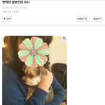 [비상대피소] 네 다음 <b>관종</b>