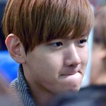 [<b>xoxo</b>] 멍뭉S2