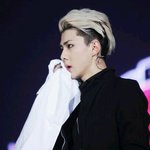 [비상대피소] 난 엑소코디부러워하는애들이해안가던데