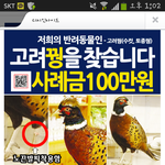 [exo] [꼭읽어주세요] <b>애완</b>꿩을 찾습니다