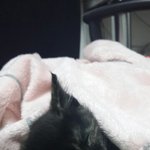 3개월된우리아가소<b>개해</b>여!!