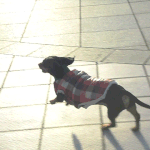 [<b>뚜</b>비야달려] <b>뚜</b>비야~ 2014 새해 아침을 열자~