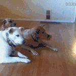 [억울해요] <b>lg</b> u+ 요금청구... 방법이 없을까요?