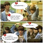 [비상대피소] 세루러 쌍년 이라 외치는 세니최애 격공