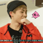 슈밍 귀요<b>미송</b> 움짤