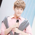 [백현] 흔한아이도루의셔츠핏