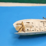 [비상대피소] 헐 <b>나방</b>