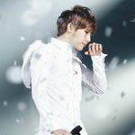 [인피니트] 그대들의 선택