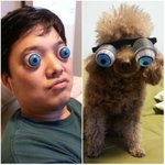 [티제리] 6탄 태준애비와 제리의 성장일기