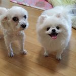 이쁜 할매와 아가