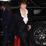 뱀파이어 <b>연상</b>시키는 김혜수 레드카펫