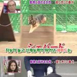 마음으로 보는 <b>사진들</b>..23