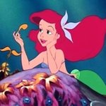 [시우민] 질문질문