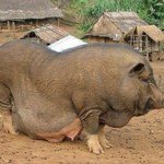 [비상대피소] 임채현<b>실사</b>