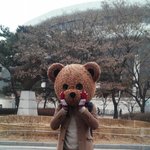 후기) 곰돌이탈과 창경궁