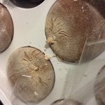 [시우민] 초코 <b>모찌</b>