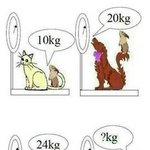 해석해주세요무게<b>단위</b>!!