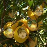 [<b>xoxo</b>] 유자첸발견!!!!!ㅋㅋㅋㅋㅋ