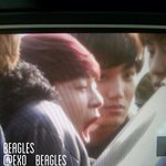 [CHEN] 종대<b>하품</b>ㅋㅋㅋㅋㅋㅋ