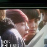 [CHEN] 콩쥐<b>하품</b>ㅠㅠㅠㅠㅠ