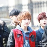 [시우민] 갑자기 <b>냉동</b>만두가 보고싶어져써