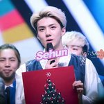 [<b>xoxo</b>] (수정)세니 중화질갖구왔엉ㅜㅜ