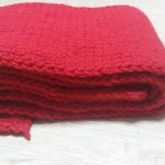 [<b>xoxo</b>] 얘들아 나목도리다떳다?