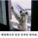 이 사진...^^