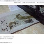 이거 정말이냐??