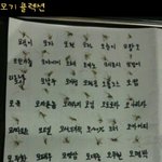모기 <b>콜렉션</b>.jpg