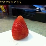 잉여류<b>최강</b>자.jpg