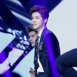 [루한] <b>갭</b>이 너무 큰 루한