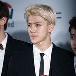 [비상대피소] 세훈이