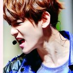 [백현] 흔한아이도루의<b>핏줄</b>