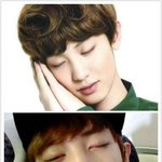 [<b>xoxo</b>] ㅋㅋㅋㅋ앜ㅋㅋ귀여워