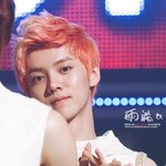 [루한] 루한이꿈꿨어ㅠㅠㅠㅠ