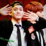 [CHEN] 머죠이꾸러기는