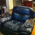 앉아있으면 왠지 악당보스가 된 것 같은 <b>쇼파</b>