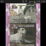 마음으로 보는 사진들..24