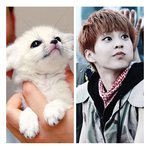 [시우민] 민석이랑 닮은 <b>동물</b>이 뭐라생각해?