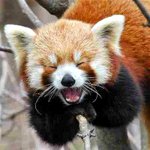 [시우민] 입덕계깈ㅋㅋ